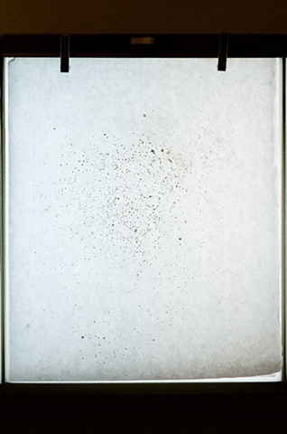 undercurrent (lightbox detail)