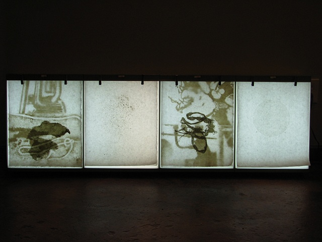 undercurrent (lightbox)