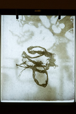 undercurrent (lightbox detail)