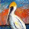 "The Pelican"