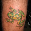 tree frog