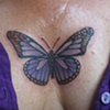 butterfly chest