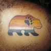 bear week