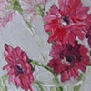 Gerbera Daisies