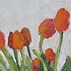 Orange Tulips #1
