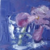 Blue Iris