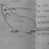 objects no longer capable of flight (image 6)