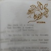 objects no longer capable of flight (image 7)