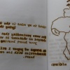 objects no longer capable of flight (image 10)