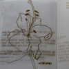 objects no longer capable of flight (image 12)