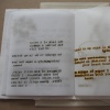 objects no longer capable of flight (image 9)