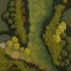 "Going Green"