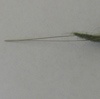 Beading Needles - 