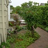 Laurelhurst Entry Courtyard - before