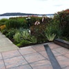 Medina Perennial Bed - after