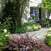 Magnolia - entry courtyard