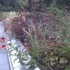 Medina Deck Planter - after