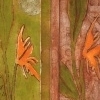 "HEY!", Parrot Plant Series