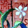 Its Photosynthesis
