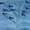 Thinking of Migrating Soon