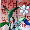 Orchids
