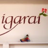 Cafe Igarai Logo, stenciled on wall in workspace