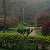 View at dawn