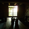 cellar