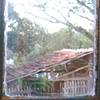 Bedroom Window