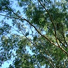 Windingly