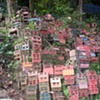Travel Photos from Brazil 2008