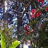 Brazil Yoga Retreat 2010