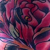 neck rose
Chris Collinsworth Tattoo Denver CO