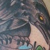 Chris Collinsworth Tattoo Denver CO