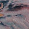 chris collinsworth tattoos