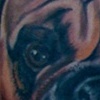 chris collinsworth tattoos