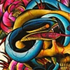 snake skull
Chris Collinsworth Tattoo Denver CO