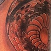 chris collinsworth white lotus tattoos denver co