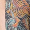 Chris Collinsworth Tattoo Denver CO