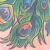 Chris Collinsworth Tattoo Denver CO
