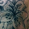 chris collinsworth white lotus tattoos denver co