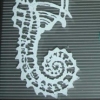 Seahorse
