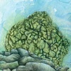 Submerged 2