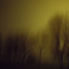 january rain