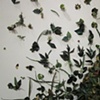 detail of "By the Side of the Road at the Edge of Town"