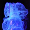 detail of "Deepwater Eden" under black lights