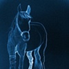 Horse Laser
