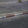 Jakaranda 2