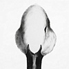 Papera