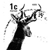 Bul- kengeroo (Kudu zutar)